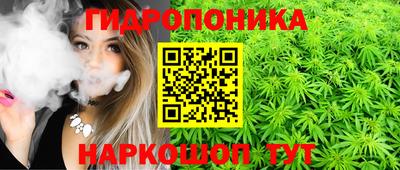 Альфа ПВП Будённовск