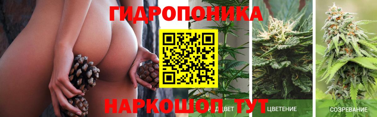 Бошки Шишки VHQ  Каннабис план  Каннабис семена  Сатка  Вход с VPN 
